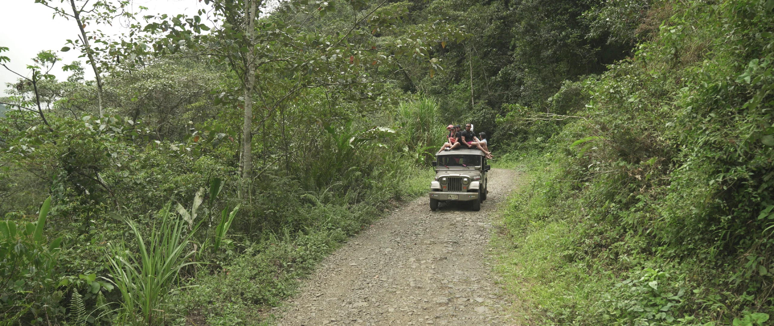 Participants enjoying a jeep ride through lush greenery on the way to BJJ Camp XP, creating a sense of adventure and camaraderie before their training sessions.