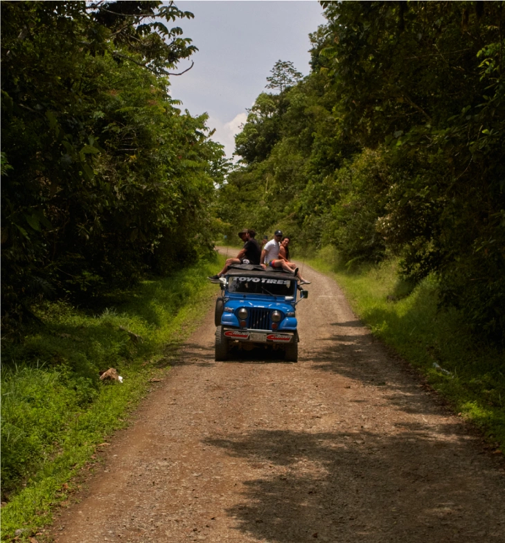 A group of travelers enjoying a Jeep Willys ride through a scenic forest trail near BJJ Camps in South America.