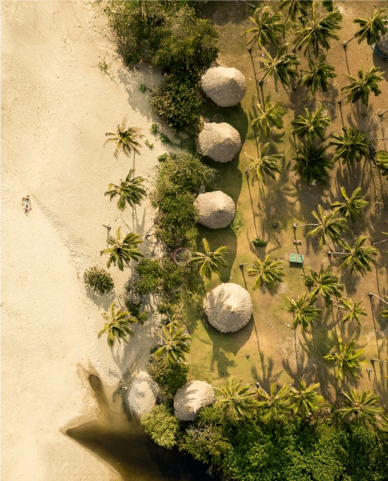 Aerial view of a tropical beach with palm trees and rustic huts, showcasing Colombia’s peaceful coast for backpackers after BJJ Camp.